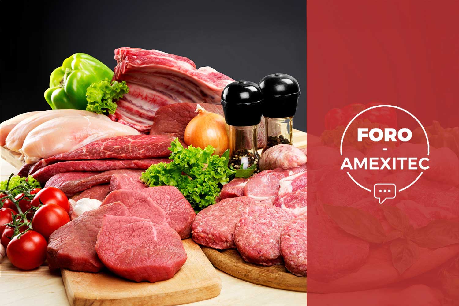 Foro Virtual Amexitec