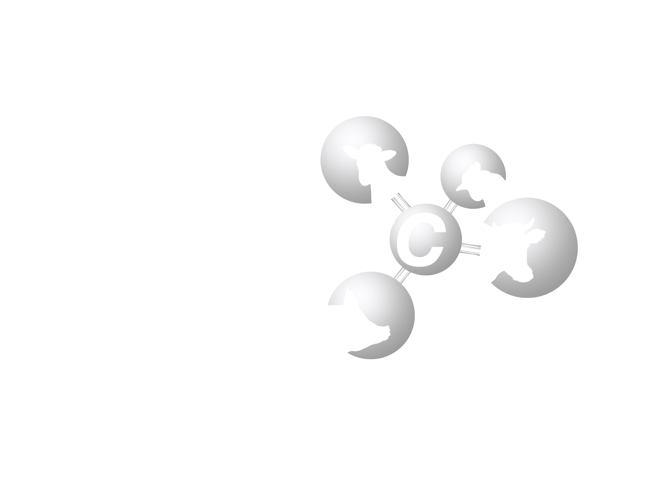 AMEXITEC